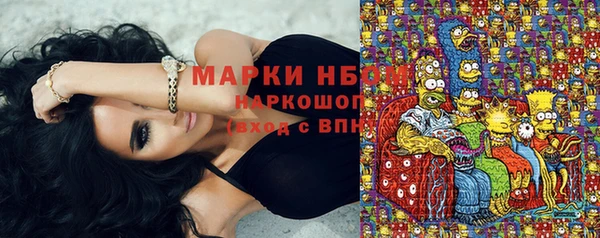 Альфа ПВП Бородино