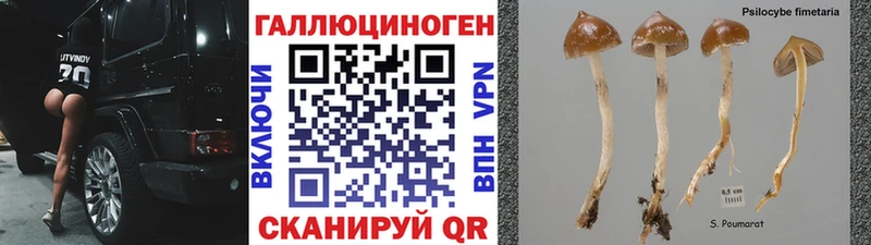 Псилоцибиновые грибы прущие грибы  хочу   Заводоуковск 